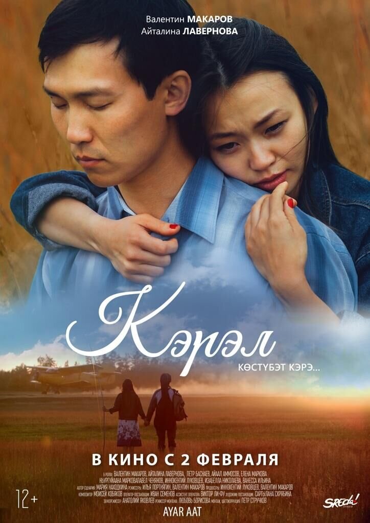 Кэрэл. Невидимая красота (2017) - постер 1