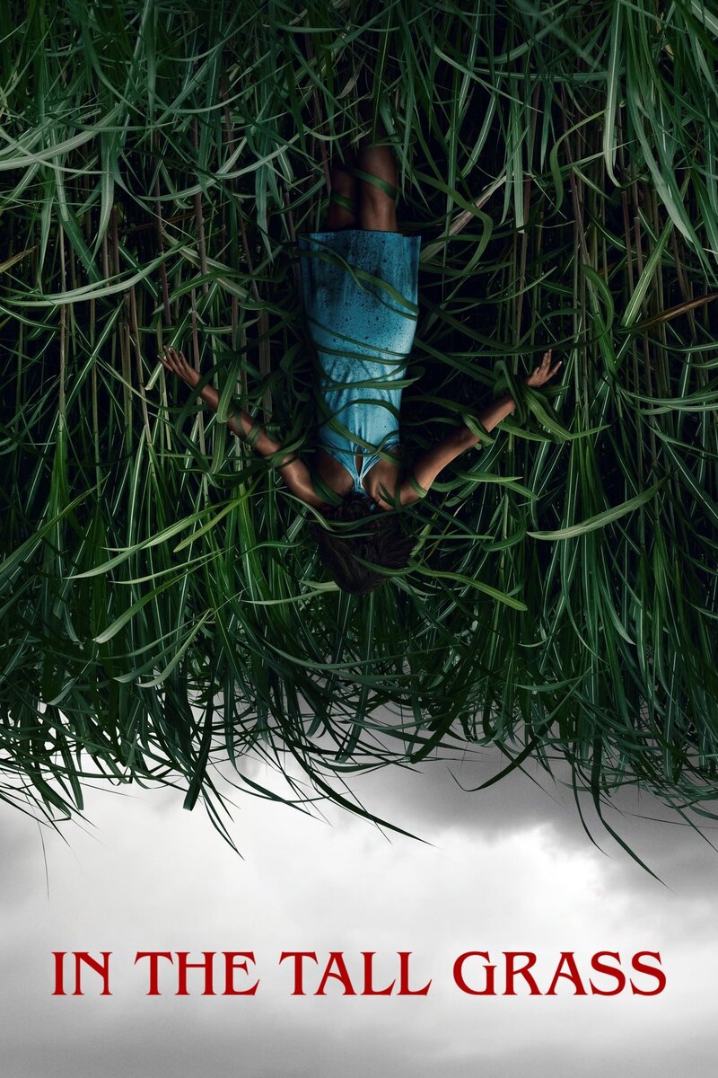 In the Tall Grass (2019) - poster 1