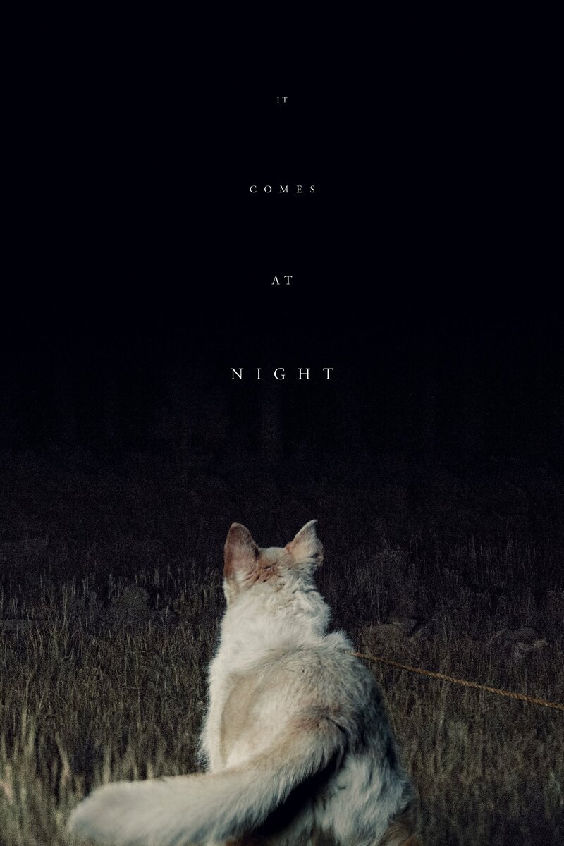 Оно приходит ночью (2017) - постер 3