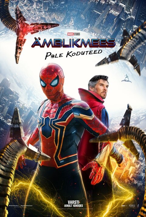 Spider-Man: No Way Home (2021) - poster 9