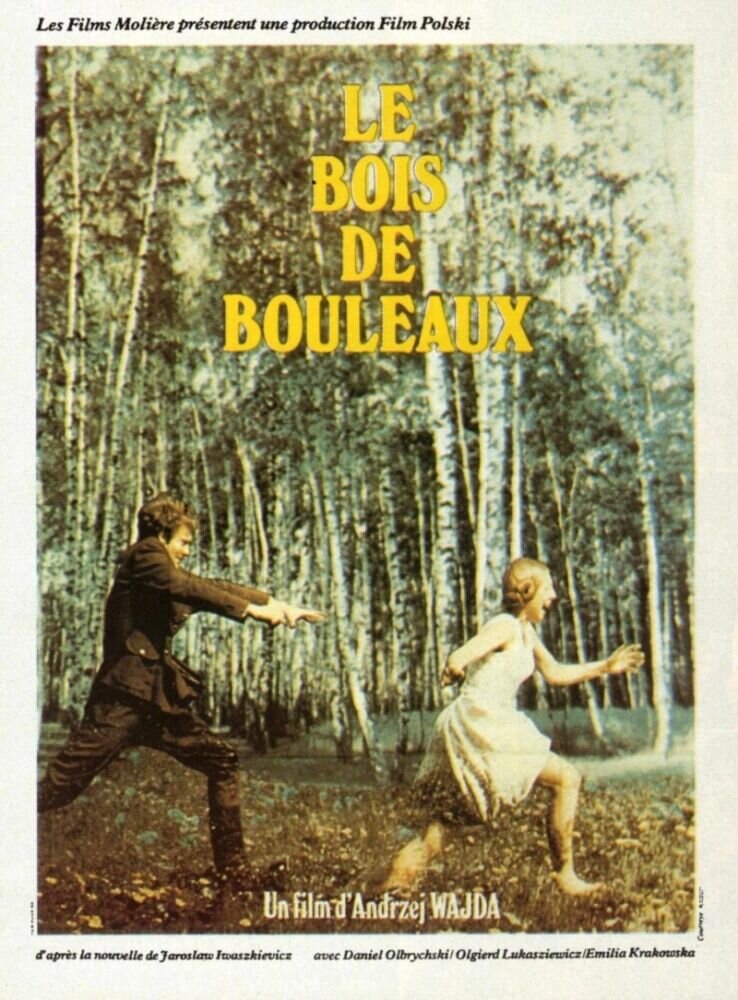 The Birch Wood (1970) - poster 1