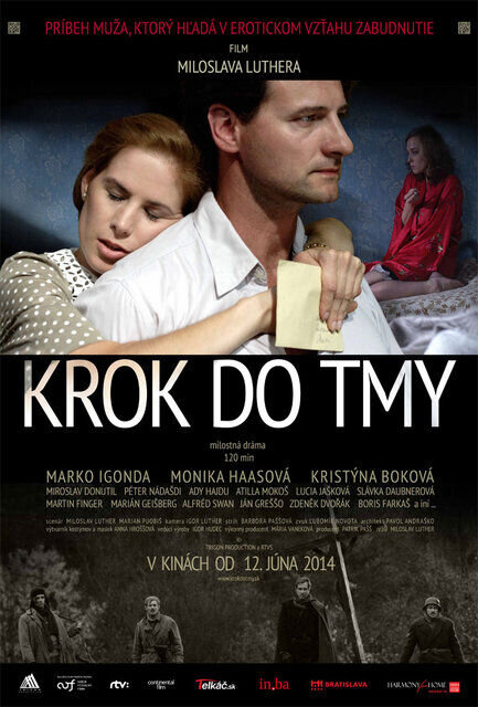 A Step Into the Dark (2014) - poster 1