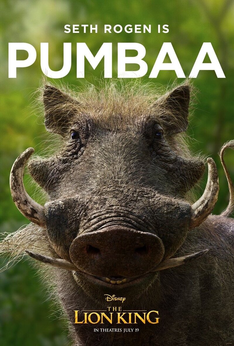 The Lion King (2019) - poster 19