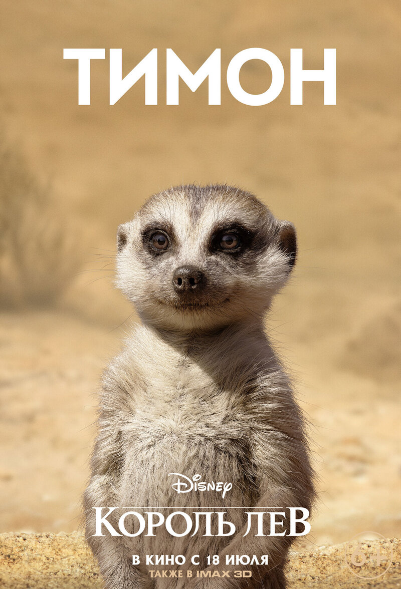 The Lion King (2019) - poster 7