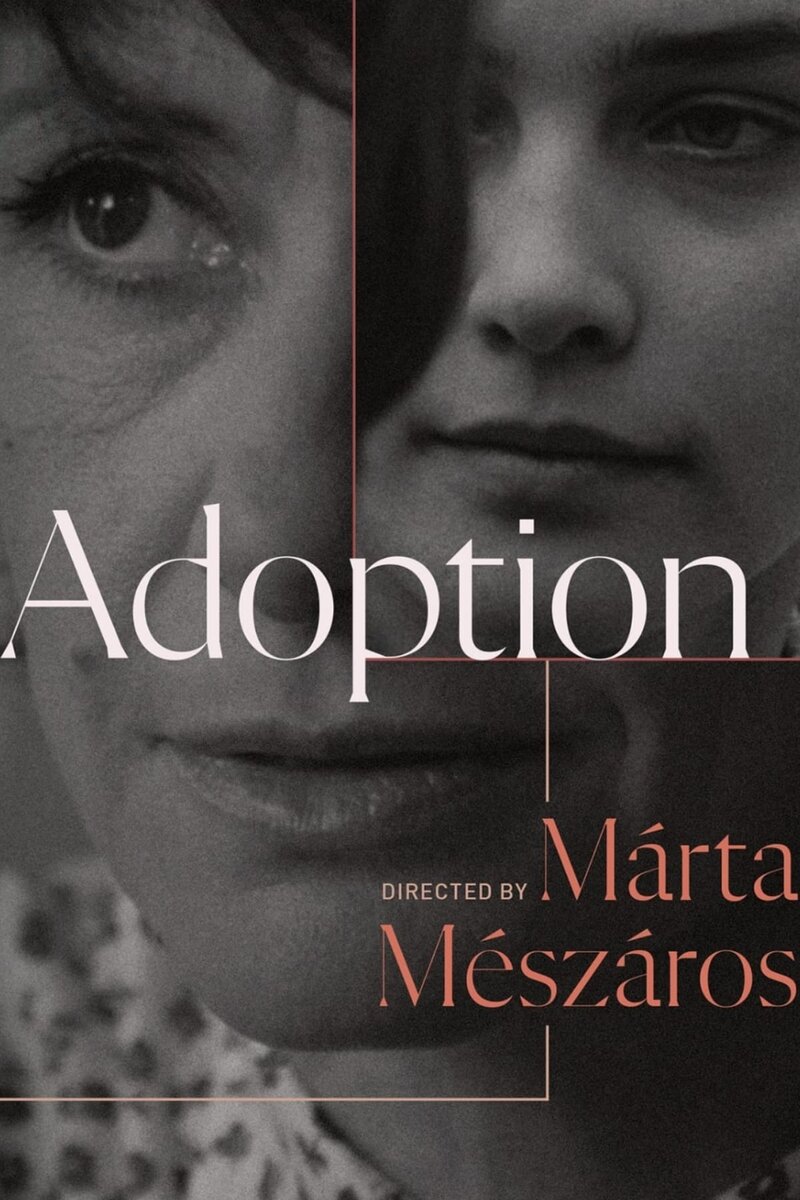 Adoption (1975) - poster 1