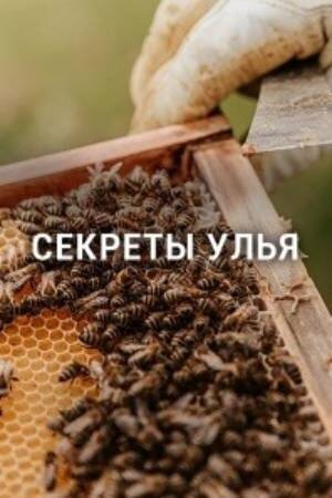 Secrets of the Hive (2015) - poster 2