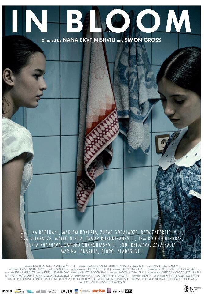 Длинные светлые дни (2013) - постер 1