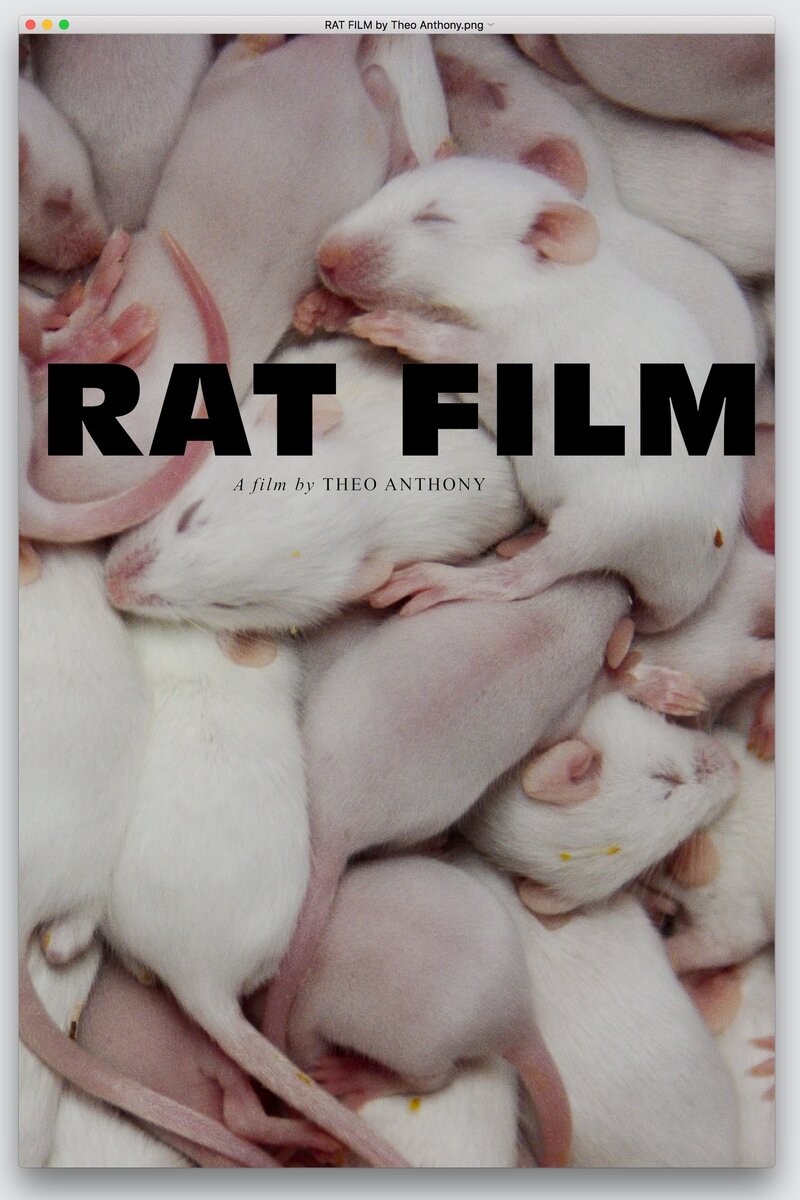 Rat Film (2016) - poster 1