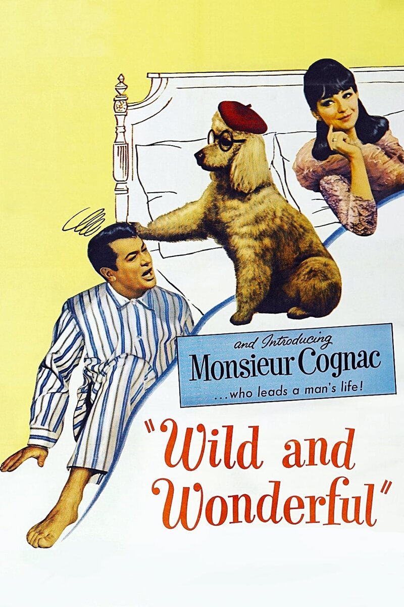 Wild and Wonderful (1964) - poster 1