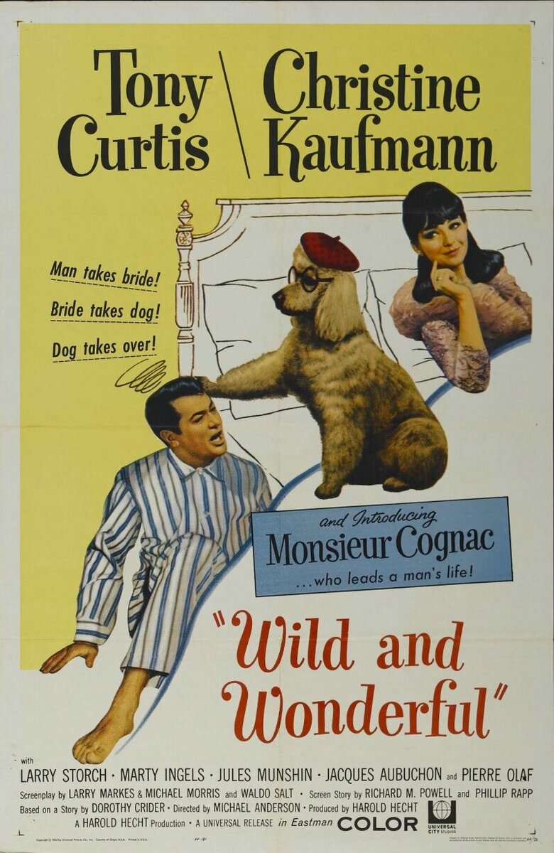 Wild and Wonderful (1964) - poster 2