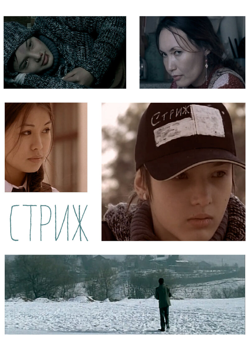 Сұр қарлығаш (2007) - poster 1