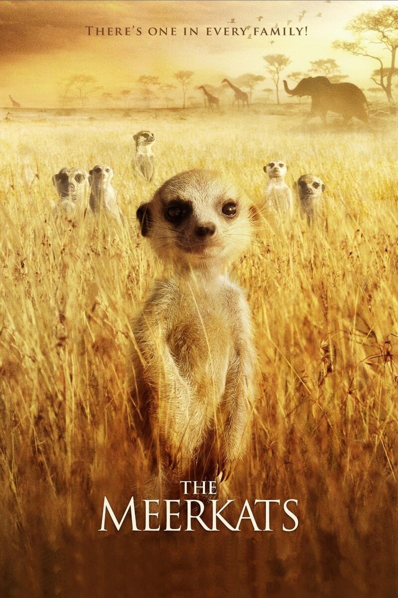 The Meerkats (2008) - poster 1
