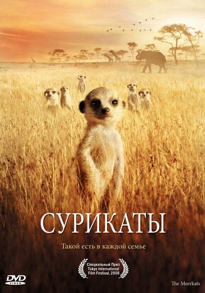 The Meerkats (2008) - poster 2