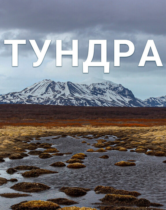 Тундра (2021) - poster 1
