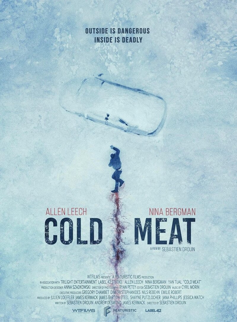 Ледяной страх (2023) - постер 2