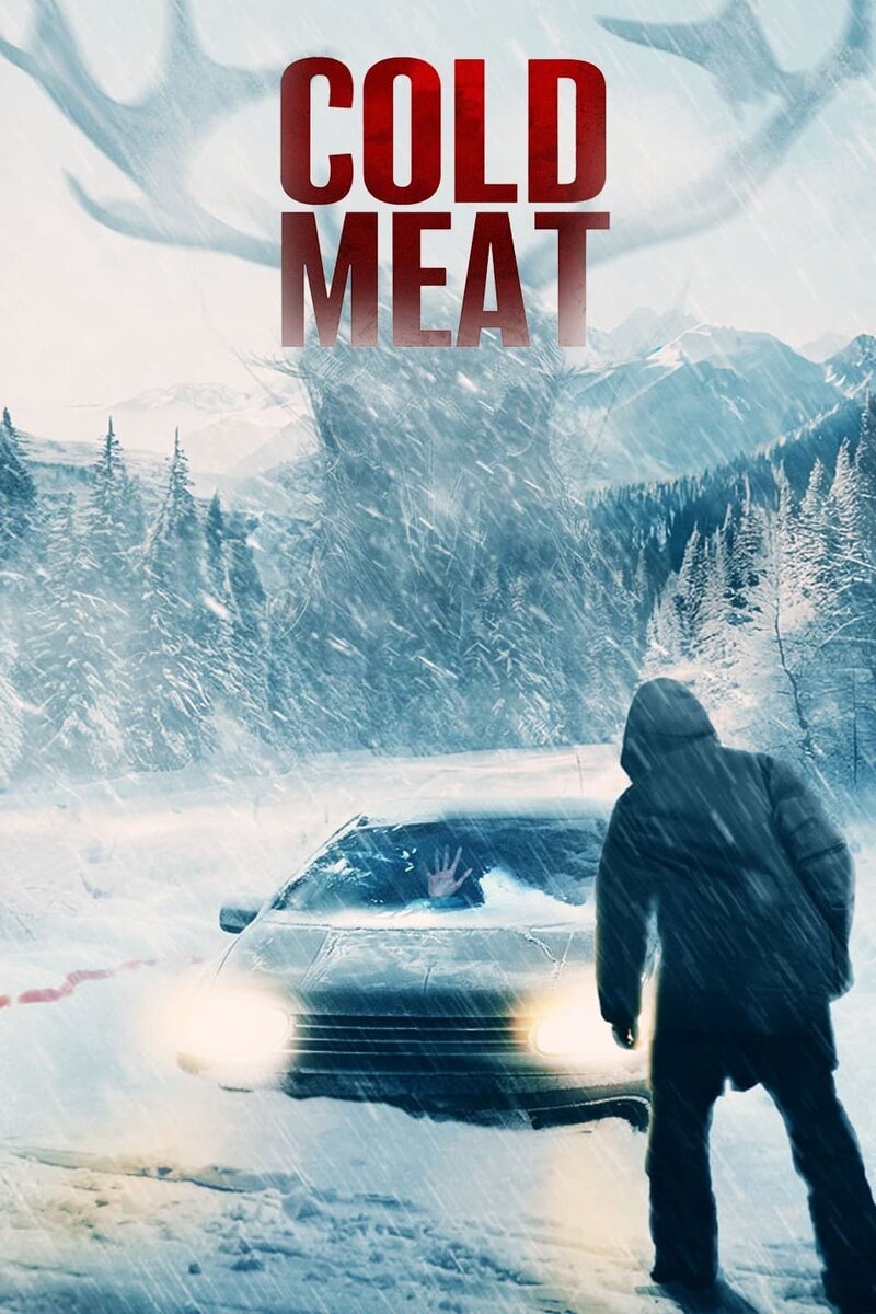 Ледяной страх (2023) - постер 4