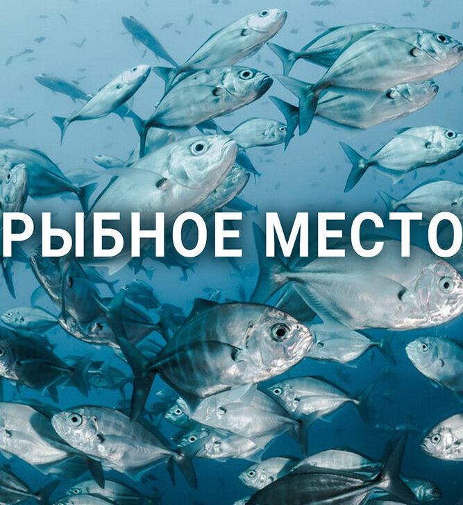 Рыбное место (2019) - постер 1