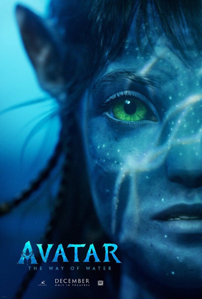 Avatar: The Way of Water (2022) - poster 9