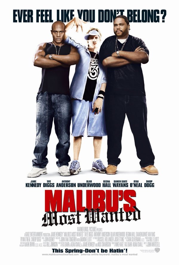 Malibu's Most Wanted (2003) - poster 2
