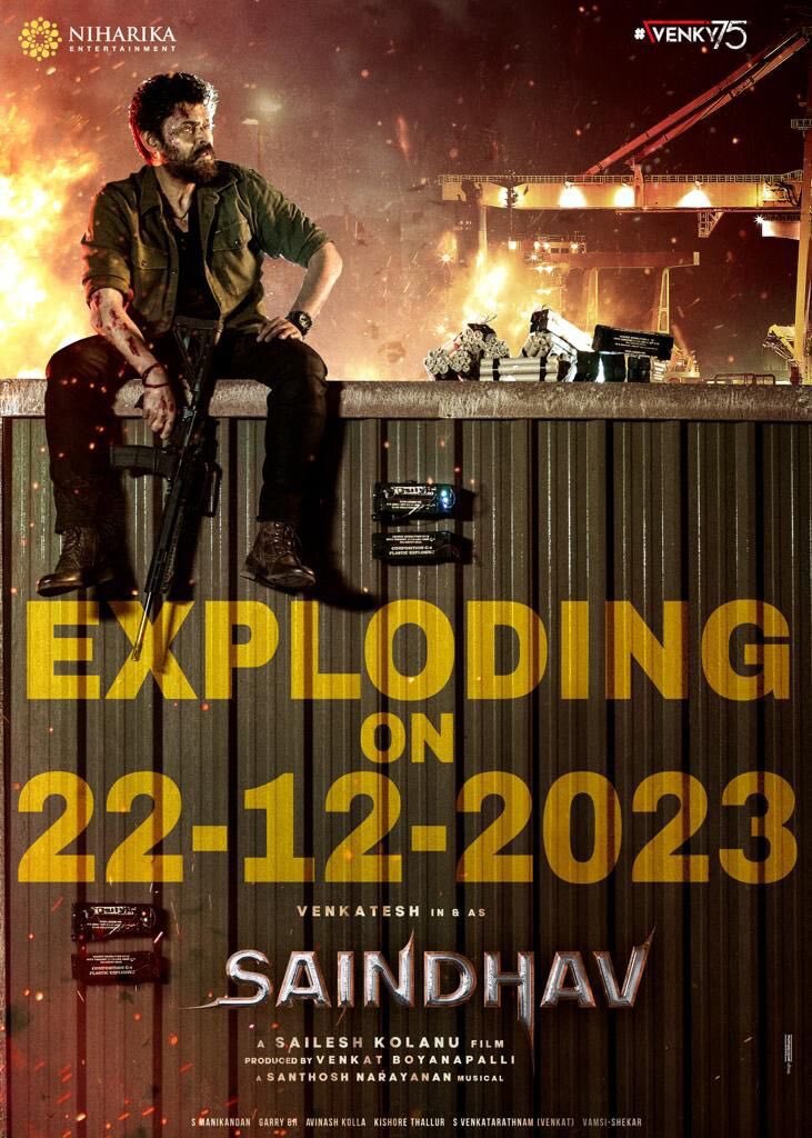 Saindhav (2024) - постер 1