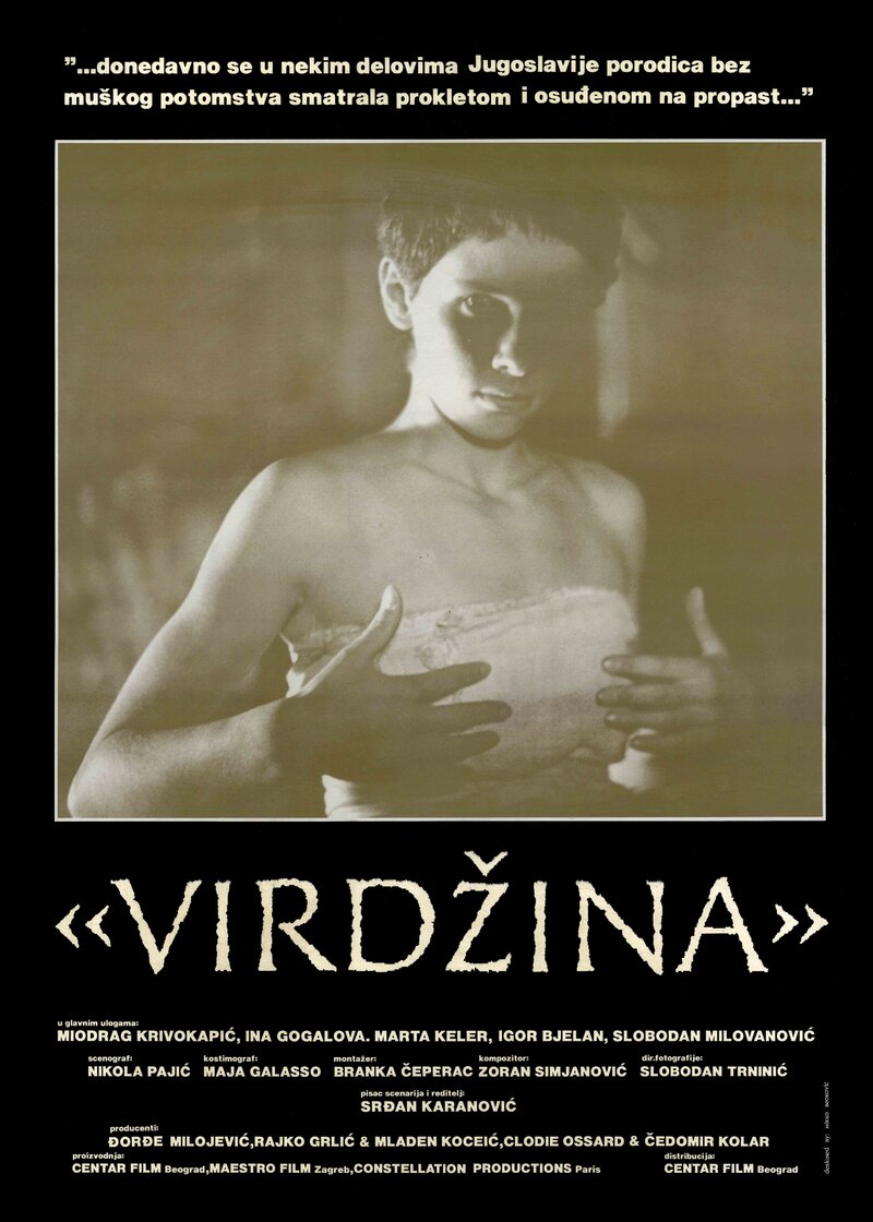 Virgina (1991) - постер 1