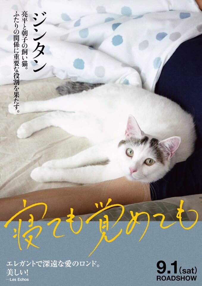 Asako I & II (2018) - poster 11