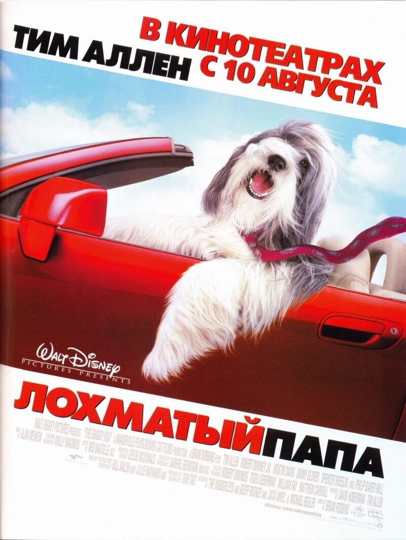 Лохматый папа (2006) - постер 1