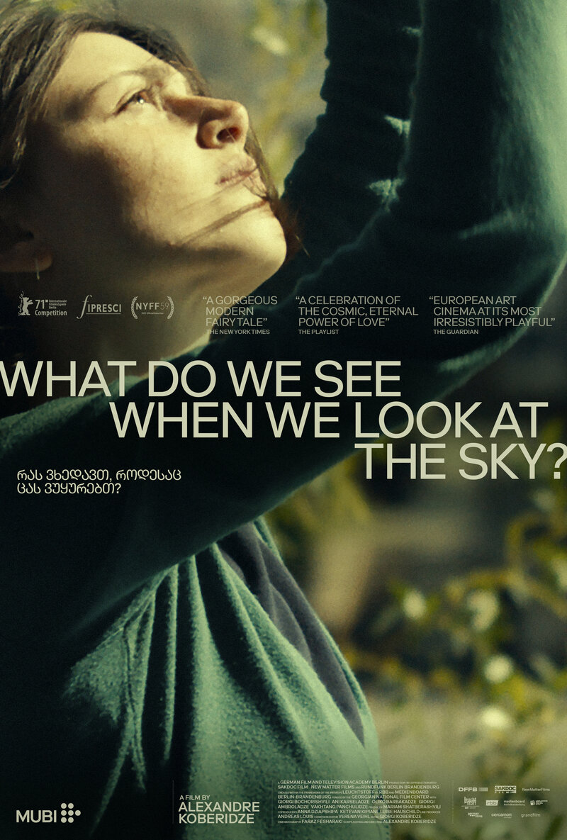 What Do We See When We Look at the Sky ? (2021) - poster 2