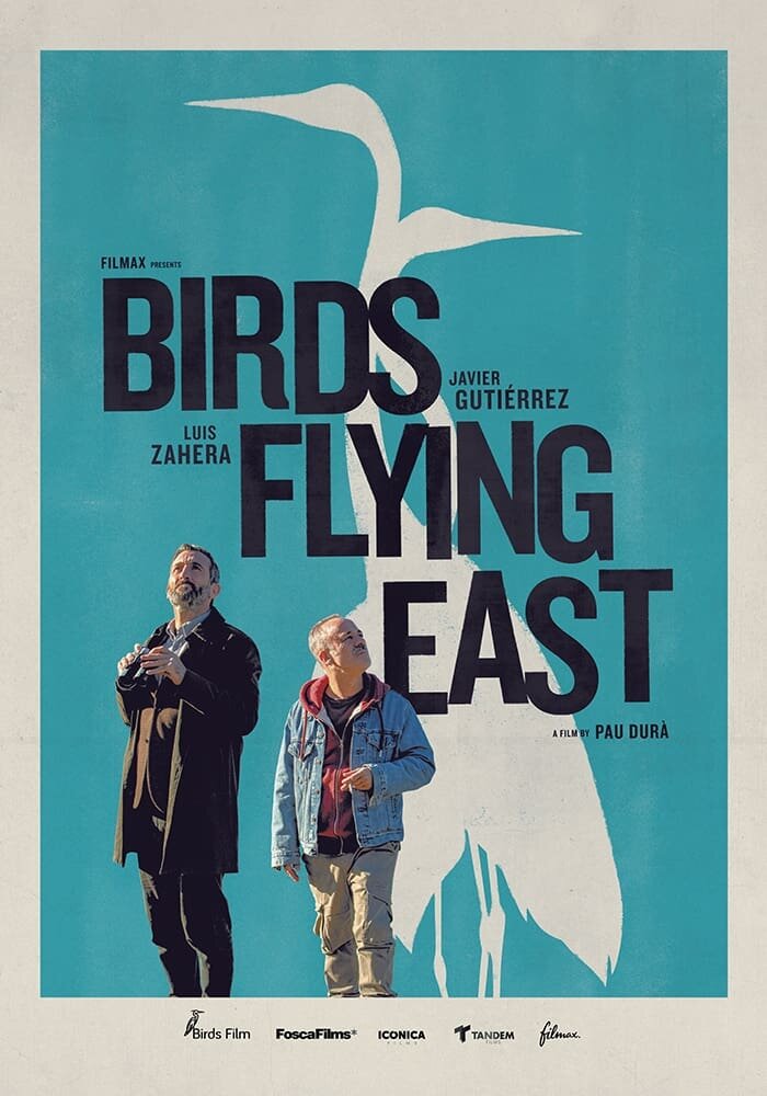 Birds Flying East (2024) - poster 1