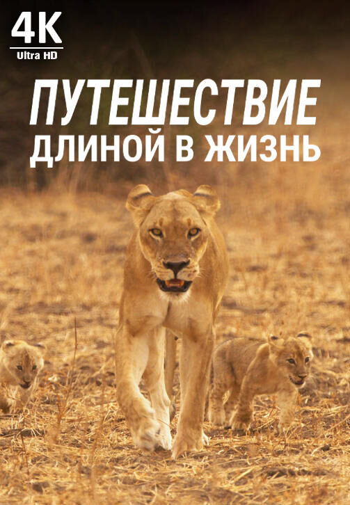 Путешествие длинною в жизнь (2019) - постер 1