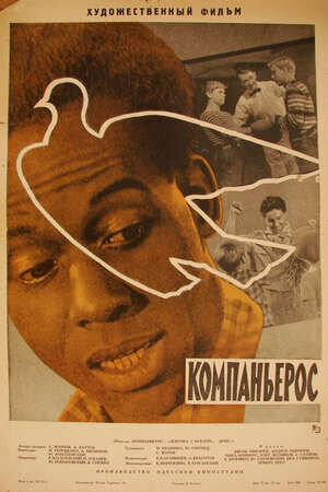 Компаньерос (1963) - постер 1