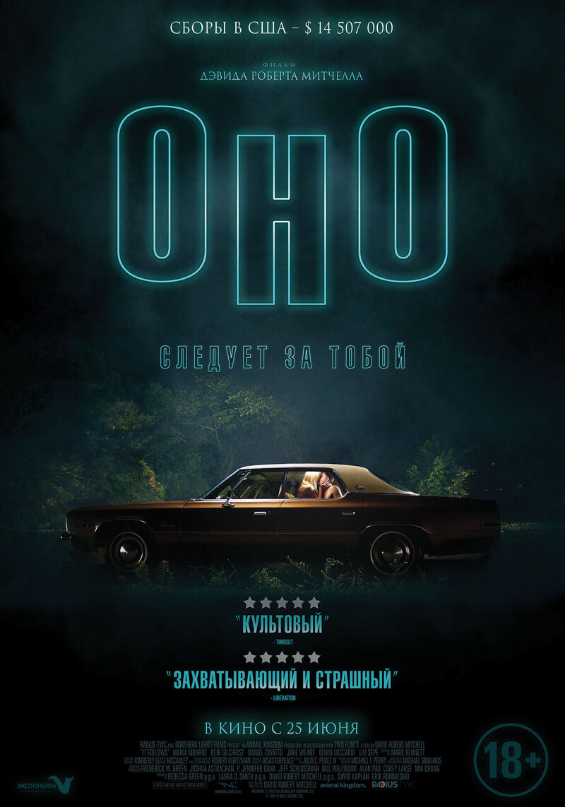 It Follows (2014) - poster 5