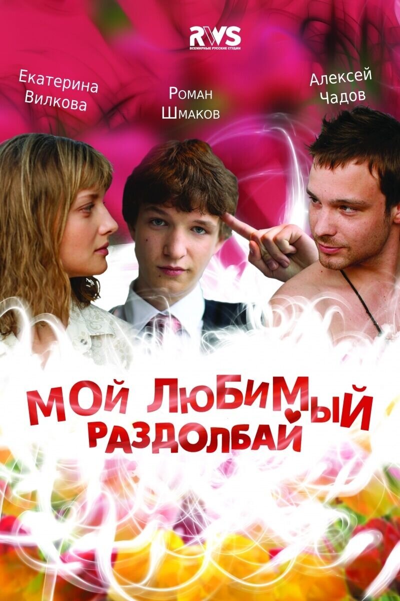 Moy lyubimyy razdolbay (2011) - poster 1