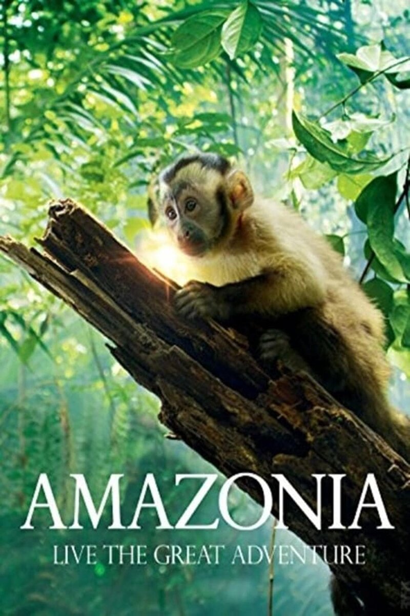 Amazonia (2013) - poster 1