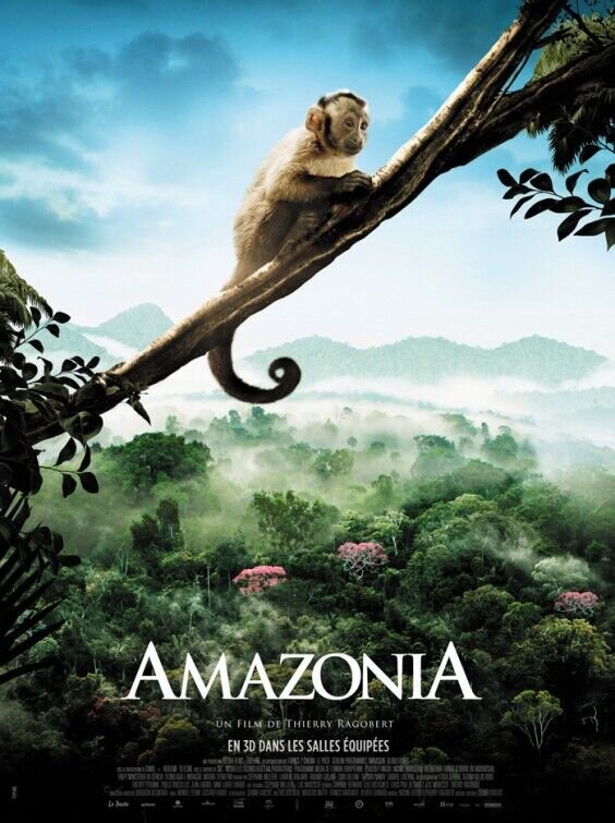 Amazonia (2013) - poster 3