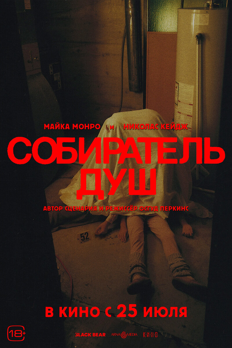 Собиратель душ (2024) - постер 4