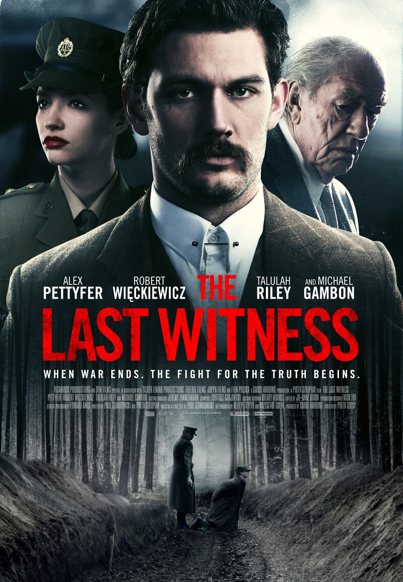 The Last Witness (2018) - poster 1