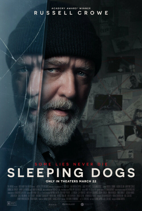 Sleeping Dogs (2024) - poster 1