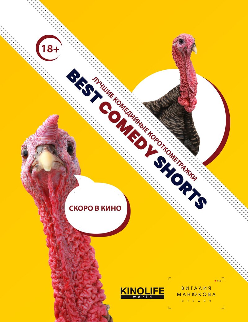 Festival komediy Best Comedy Shorts (2020) - poster 1