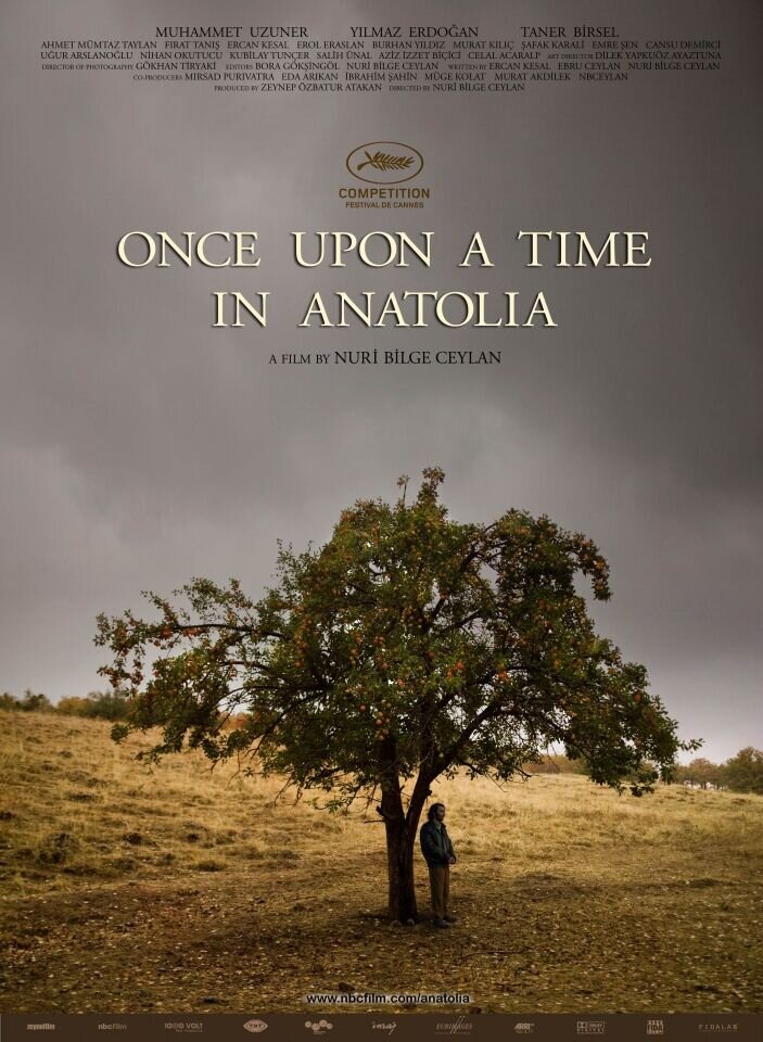 Once Upon a Time in Anatolia (2010) - poster 3