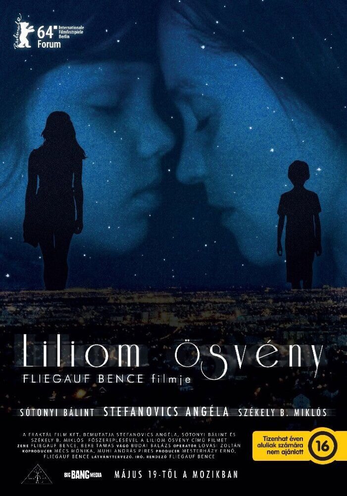 Lily Lane (2016) - poster 1