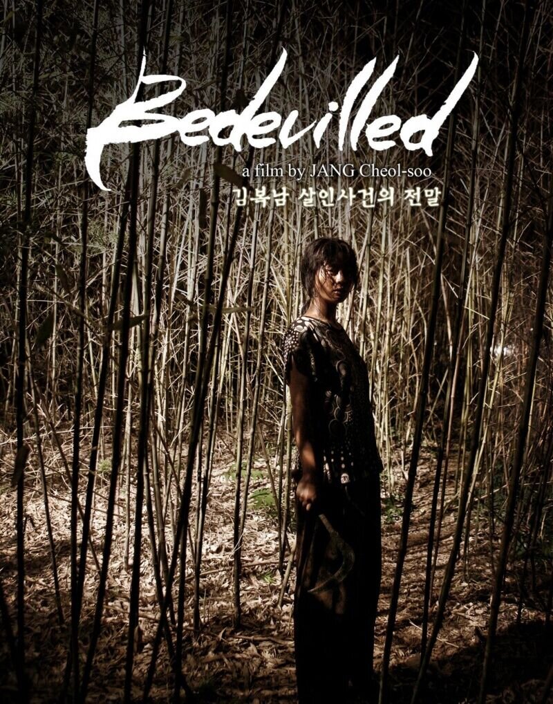 Bedevilled (2010) - poster 3