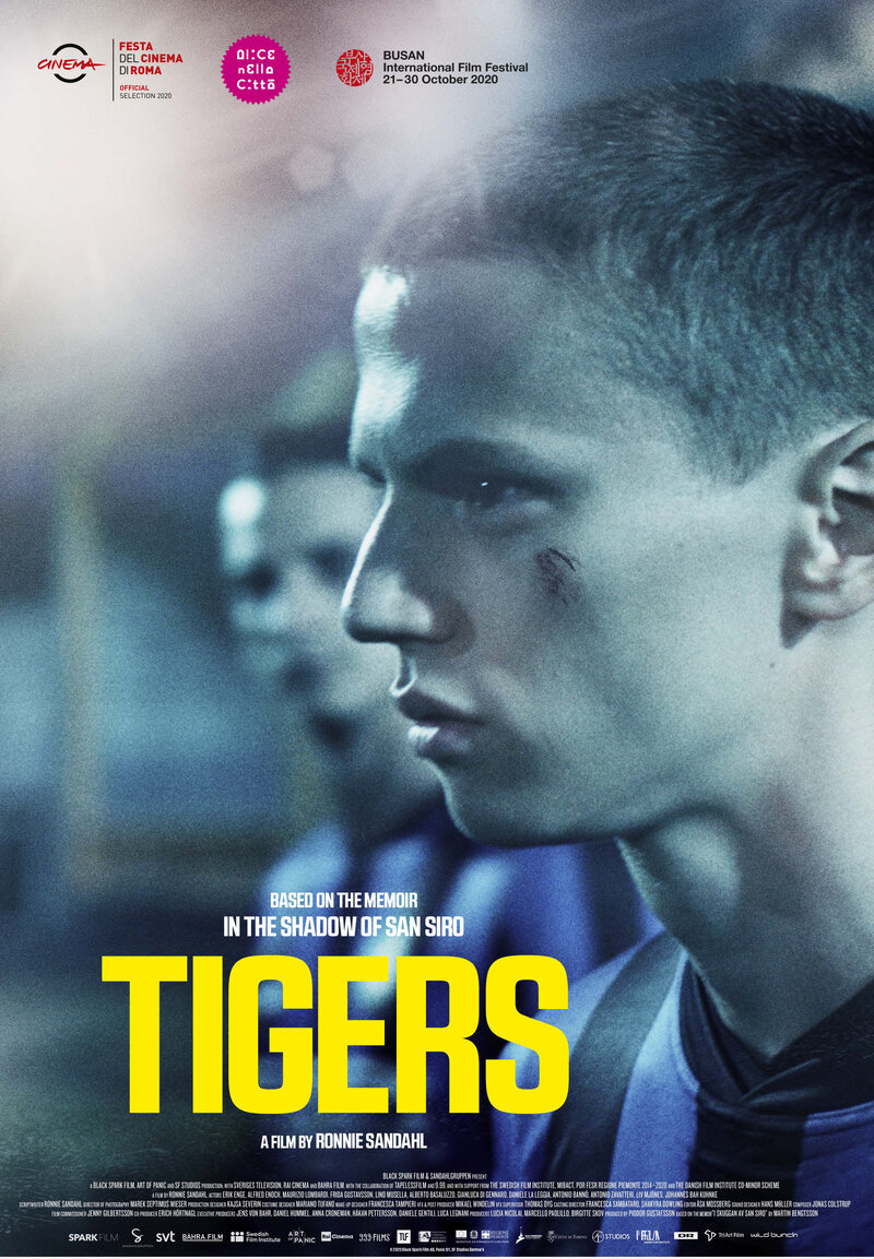Тигры (2020) - постер 1