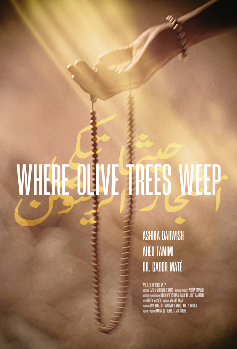 Where Olive Trees Weep (2024) - poster 1