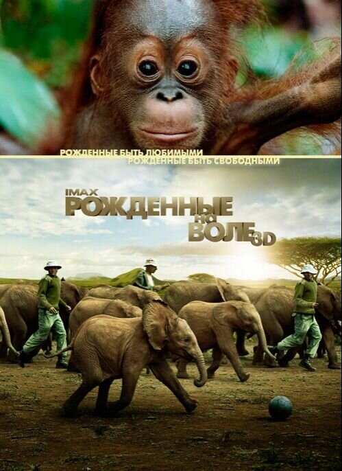Born to Be Wild (2011) - poster 2