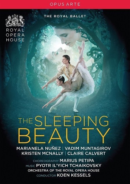The sleeping beauty (2016) - poster 1