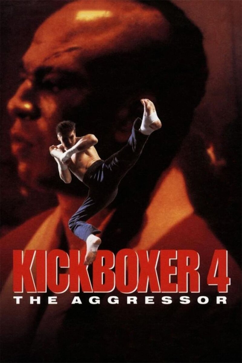 Kickboxer 4: The Aggressor (1994) - poster 1