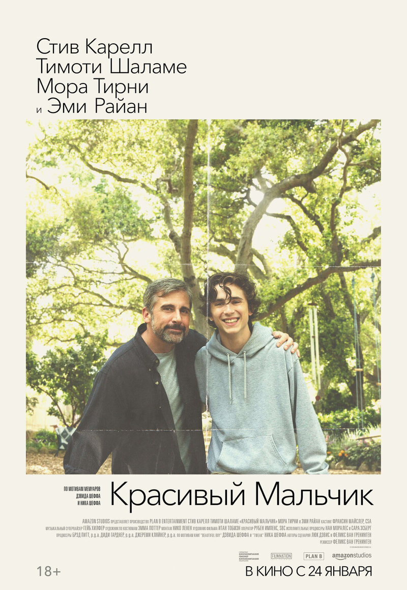 Красивый мальчик (2018) - постер 1