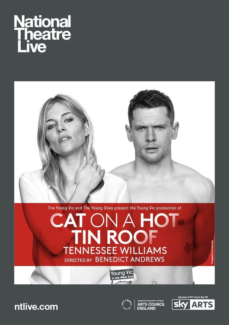 Cat on a hot tin roof (2017) - poster 1