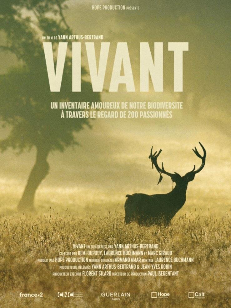 Vibrant (2023) - poster 1